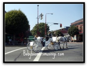 horsedrawn carriage Riding in a horse and carriage