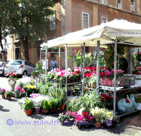 Plant stall