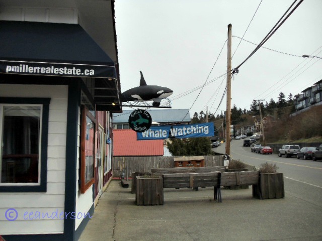 Whale watching business sign 