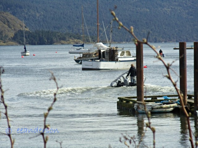 Boat leaving peir