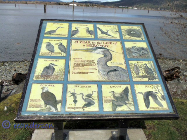 info about estuary sign
