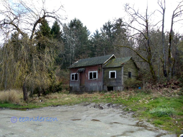 old abandoned cottage